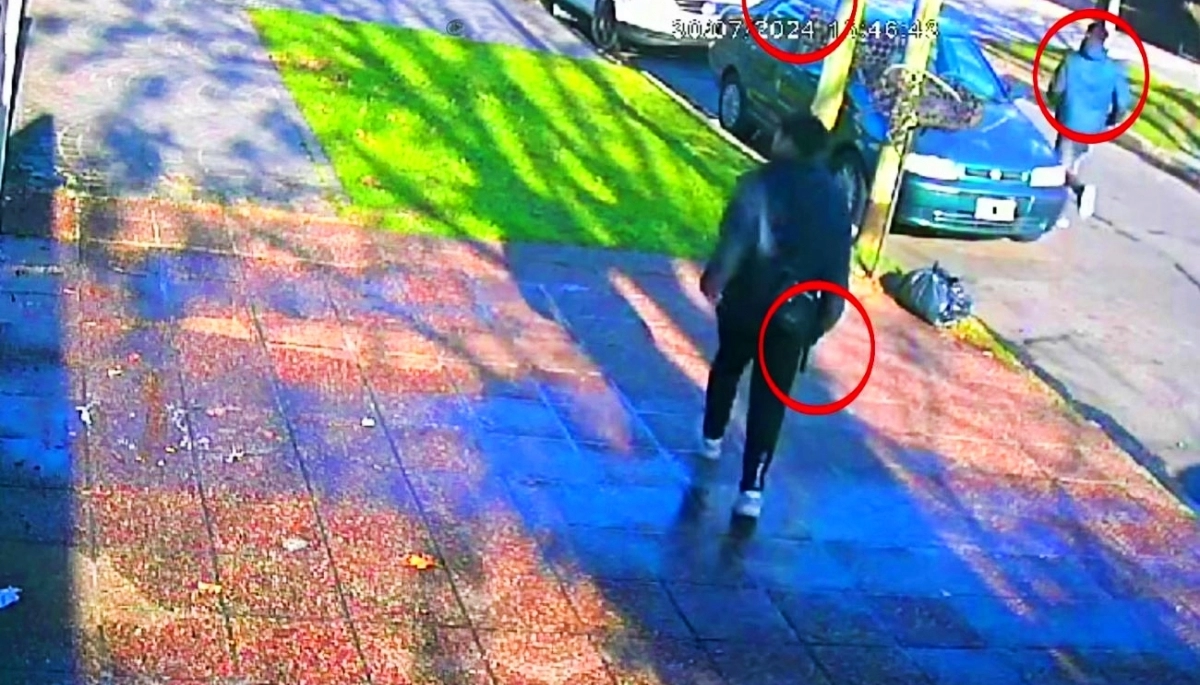 Jóvenes pirañas atacaron a una automovilista en Avellaneda