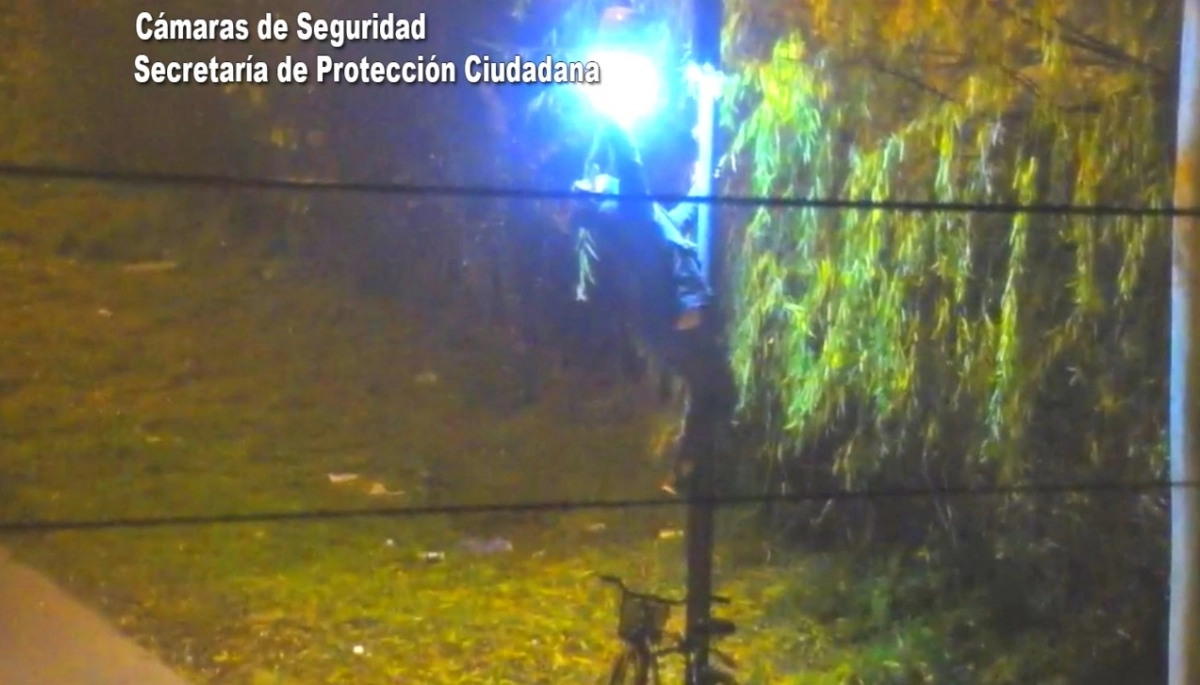 No hacía Pole Dance: detuvieron a un sujeto que se enroscó en un poste para robar luminarias
