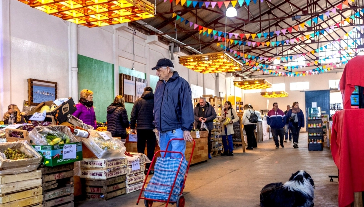 Con múltiples propuestas, Bahía Blanca te invita a disfrutar del paseo por su Puerto