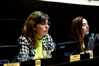 “Es una propuesta que llega tarde”: Braga apuntó contra Kicillof luego de que se aprobara el RIGI bonaerense