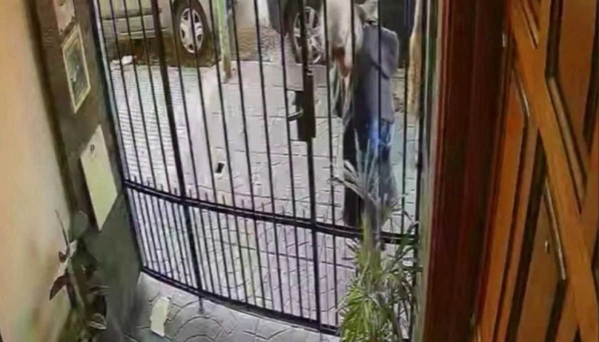 Mala convivencia en la Ciudad: denuncian a una mujer que les roba las plantas a los vecinos