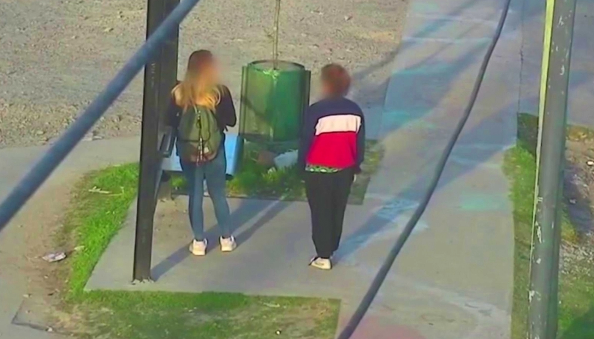 Una mujer requerida por la Justicia, fue detenida durante un intento de robo en Tigre