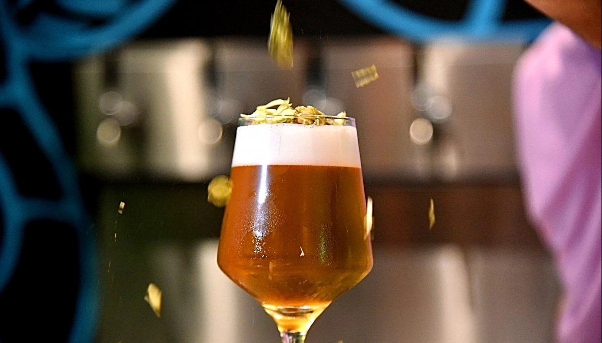 Cuenta regresiva para el Festival de la Cerveza en La Plata: el line up que musicalizará el evento