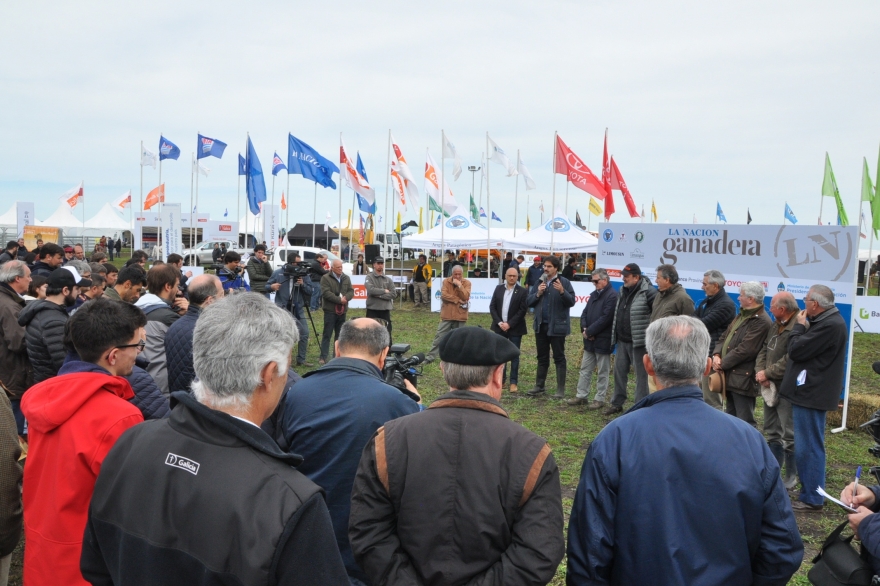 Desde Agroindustria simplifican trámites para productores del sector ganadero