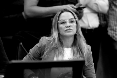 El juego a dos puntas de Píparo: con Milei en el Congreso y con Kicillof y Palazzo en la Legislatura