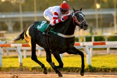 Gran Premio Dardo Rocha: una propuesta imperdible para toda la familia