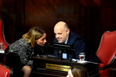 Efecto dominó: senadores libertarios también pidieron suspender las PASO en territorio bonaerense