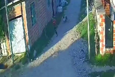 Inseguridad en Quilmes: ratero madrugador atacó a una mujer a traición y la golpeó en el piso para robarle