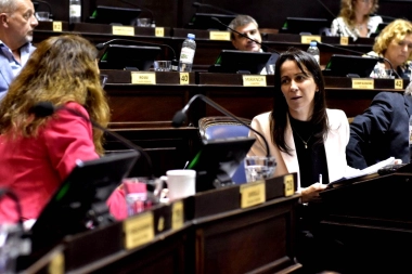 Renuncia, descargo y “quieren entregar el partido”: Diputada expuso rispideces en la UCR bonaerense