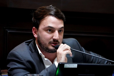 “Odio que seas de nuestro gobierno”: Romo se la agarró contra un economista y expuso la interna libertaria