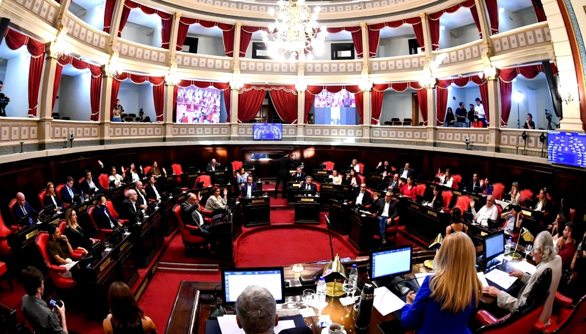 El Senado bonaerense discutió la suspensión de las PASO en la Provincia