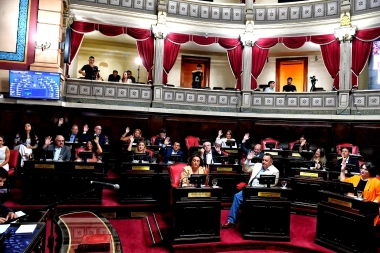 Tras el aval de Cristina a Kicillof: el Senado aprobó la suspensión de las PASO bonaerense