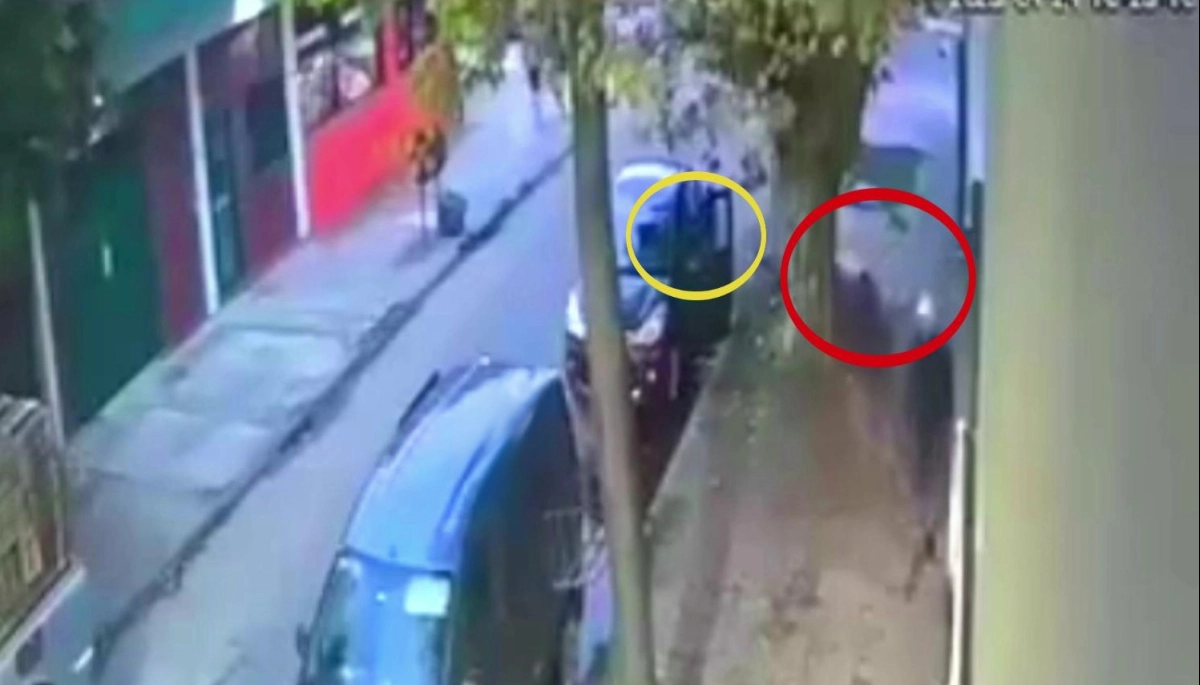 Muerto el perro se acabó la rabia: se resistió al robo del auto y el ladrón la mordió