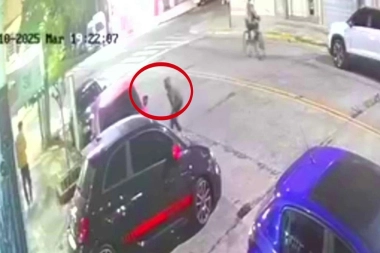 Bicichorros en CABA: un ratero se ocultó detrás de un auto para arrebatar las pertenencias de un vecino