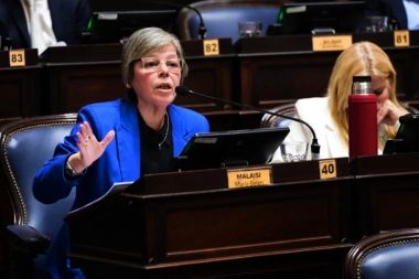 Malaisi repudió los vetos de Milei: “Estamos frente a una nueva situación de vulnerabilidad de derechos”