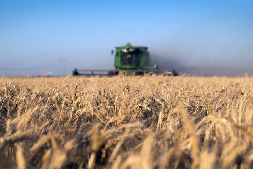 Productores bonaerenses exigen políticas urgentes para mejorar la producción