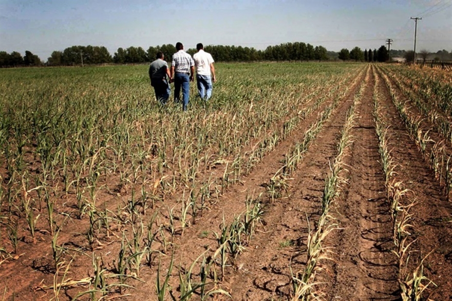 Preocupación por sequías en Interior bonaerense: advierten importante pérdida en producción