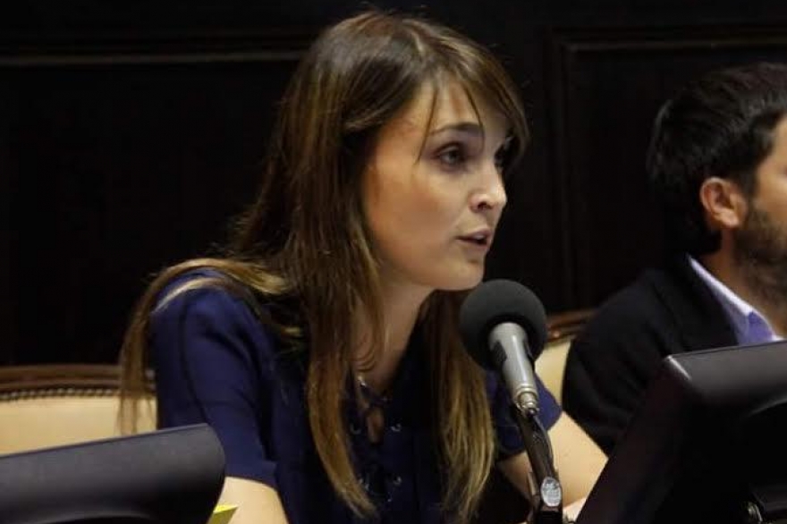 Diputada peronista presentó proyecto para apartar funcionarios que posean cuentas offshore