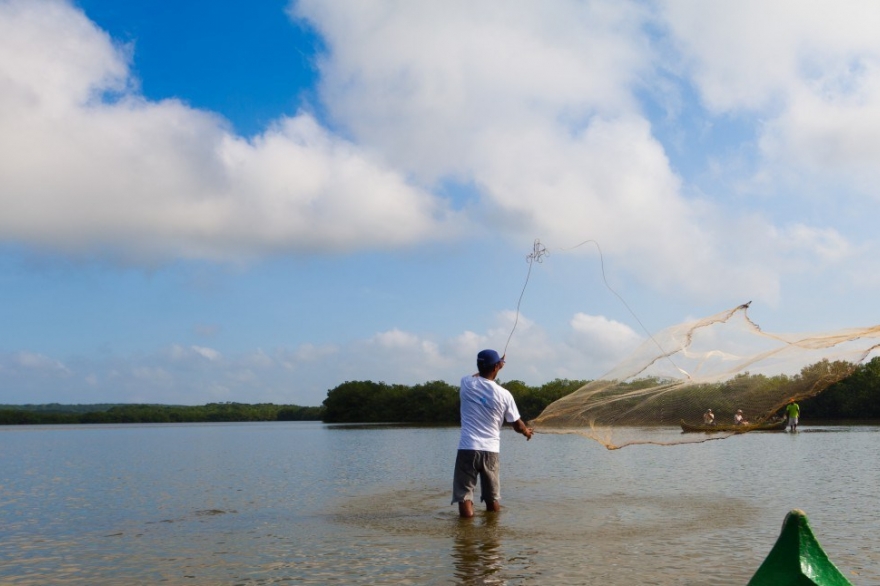 Preocupación por “avance indiscriminado” de pesca con red: piden se respete ley que lo prohíbe