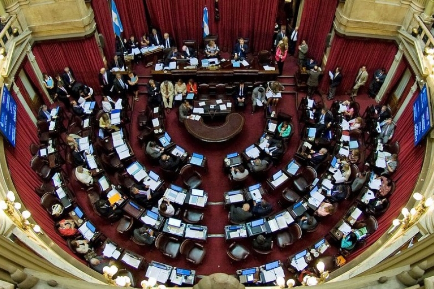 En una jornada clave, el Senado vota la ley que intenta ponerle freno a los tarifazos
