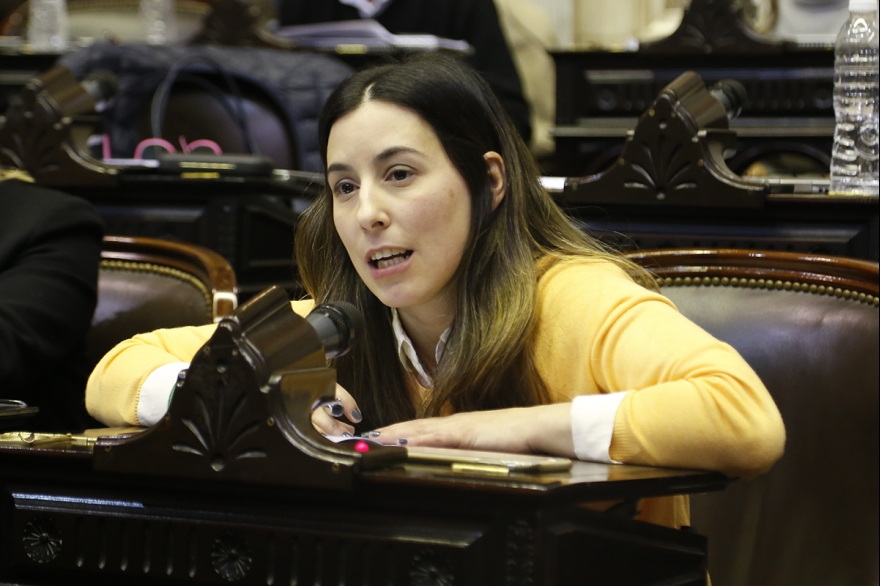 Diputada autora de una de las iniciativas por el aborto legal celebró la votación: “Hicimos historia”