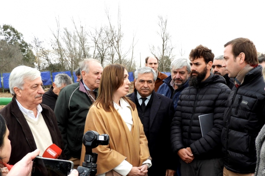 Vidal rompió el silencio y habló sobre denuncias de “aportes truchos”: “No hay nada que ocultar”