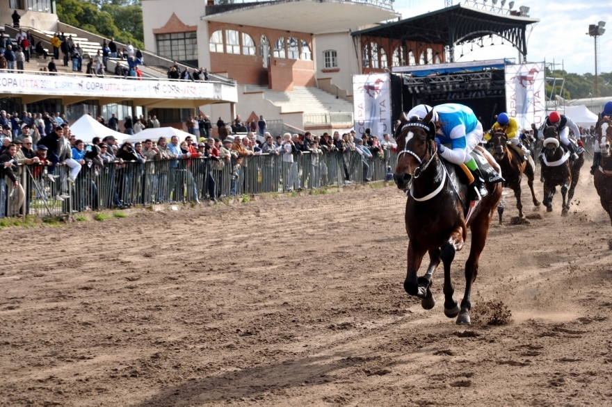 En Azul, el Concejo Deliberante aprobó por unanimidad un proyecto en defensa del Turf