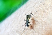 El frío hace fuerza en la Provincia y los casos de dengue bajan de manera significativa