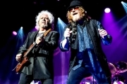 Toto y todos sus himnos ochenteros volverá a presentarse en Argentina: cuándo es el show