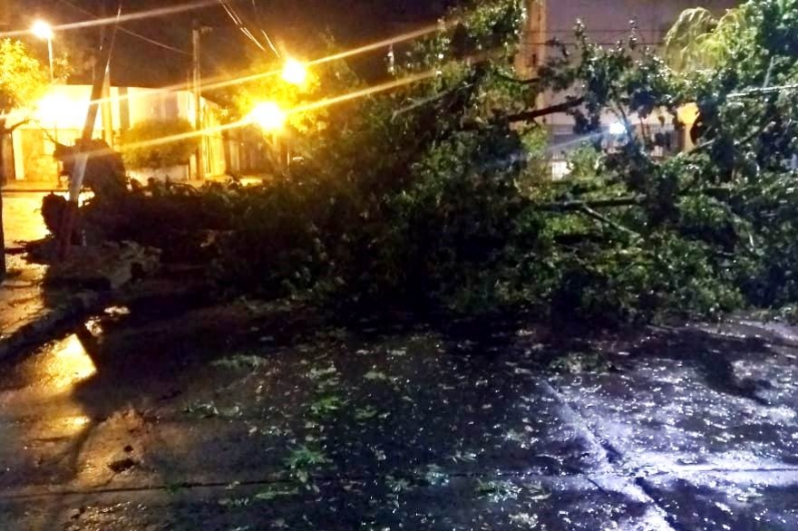 Feroz temporal en La Plata: calles inundadas, cortes de luz, granizo y voladura de chapas