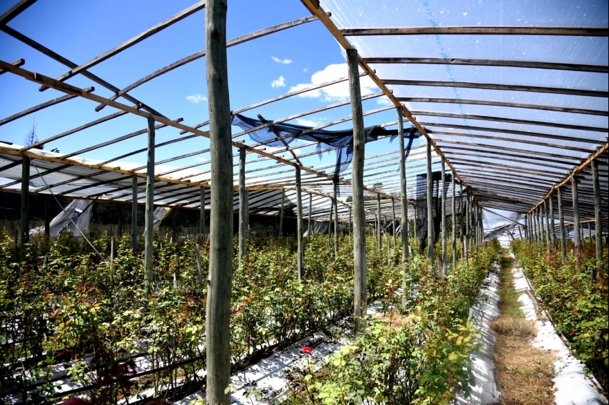 Tras el temporal en La Plata lanzan una “línea de crédito blando” para los productores afectados