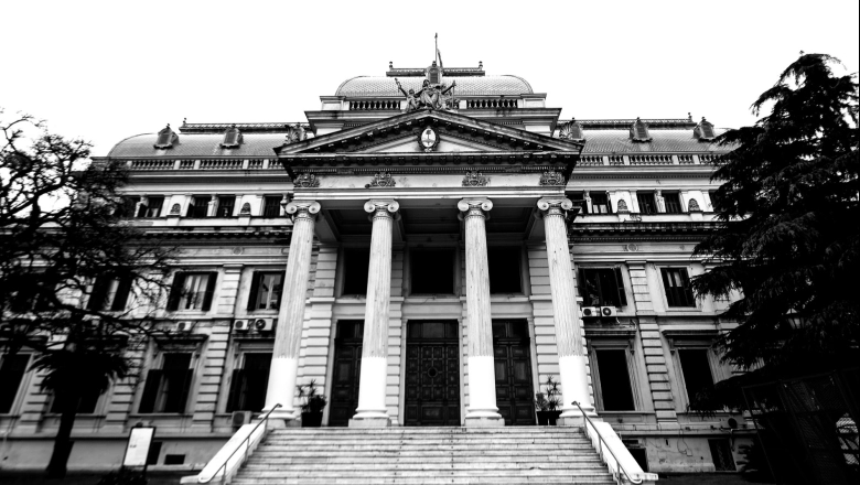 Las ratas invadieron Diputados bonaerense: edificio cerrado por desinfección