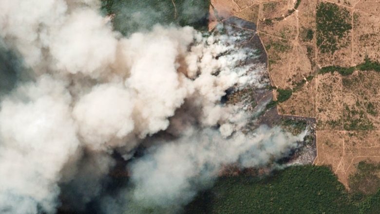 Incendios en el Amazonas: ¿puede llegar el humo a la Provincia de Buenos Aires?