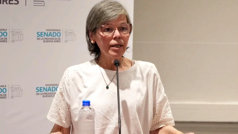 Diputada bonaerense radical pidió revelar información en colegios privados e insistió en tratar sobre la ludopatía infantil