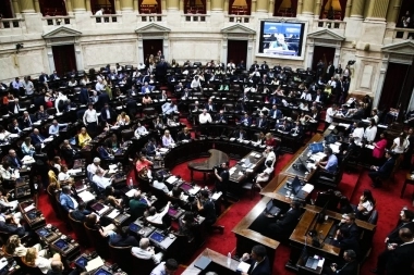 Diputados nacionales peronistas buscan convertir en Ley el “Compra sin IVA”
