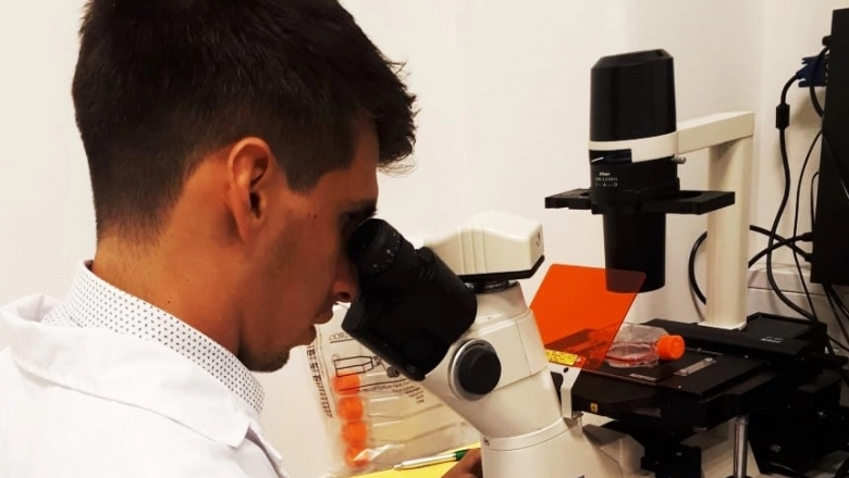 Crearon una plataforma para mejorar alimentos vegetales a partir de bacterias