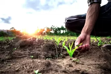 Provincia presentó programa Buenas Prácticas Agrícolas a productores de Carbap