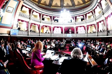 El radicalismo se desligó de un presunto caso de estafa en el Senado bonaerense