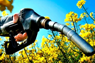 Piden impulsar la producción de los biocombustibles en la provincia de Buenos Aires