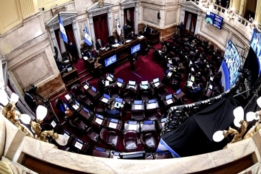 El Senado aprobó la postergación de las PASO y elecciones legislativas