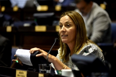 Arata resaltó la moratoria impositiva aprobada en Diputados: “Votar este proyecto es un alivio”