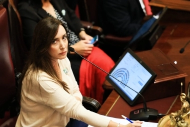 Derrota para Milei: el Senado rechazó el mega DNU y vuelve a Diputados