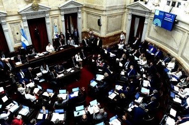 Cuatro legisladores abandonaron el bloque del Frente de Todos en el Senado de la Nación