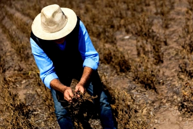 Quejas por el estado de los caminos y tasas municipales: el campo bonaerense exige “respuestas”