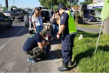 Operativos por el fin de semana XXL: 22 personas detenidas por tenencia de drogas