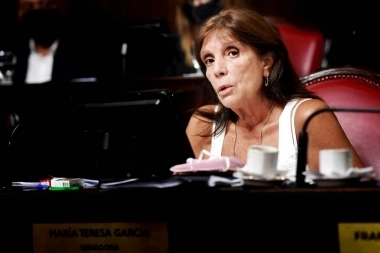 Teresa García se sumó al pedido de suspender las PASO 2023