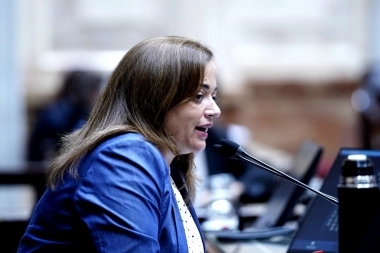 Moreau exige aprobar el proyecto de ley “Plan de Pago de Deuda Previsional”