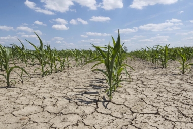 Las sequías siguen afectando al Interior: declaran Emergencia en 24 nuevos municipios