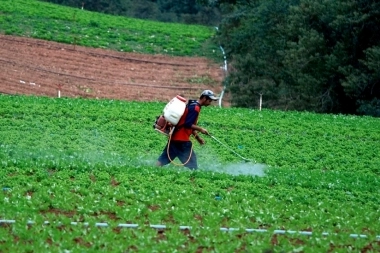 El gobierno de Kicillof volvió a extender la prorroga a la ley sobre agroquímicos