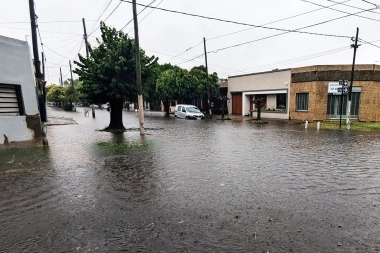 Inundaciones en La Plata: vecinos denuncian cortes de luz, caídas de postes y de árboles